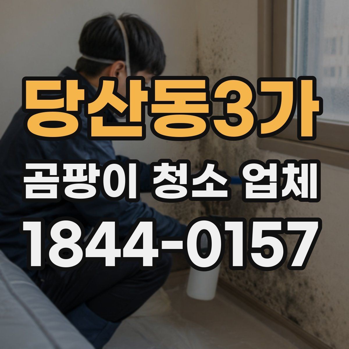 당산동3가 곰팡이 청소 업체 벽체 속 오염이 의심될 때 살피는 신호