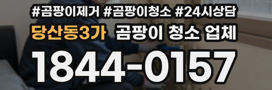 당산동3가 곰팡이 청소 업체