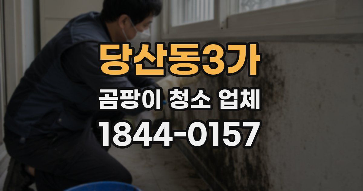 당산동3가 곰팡이 청소 업체