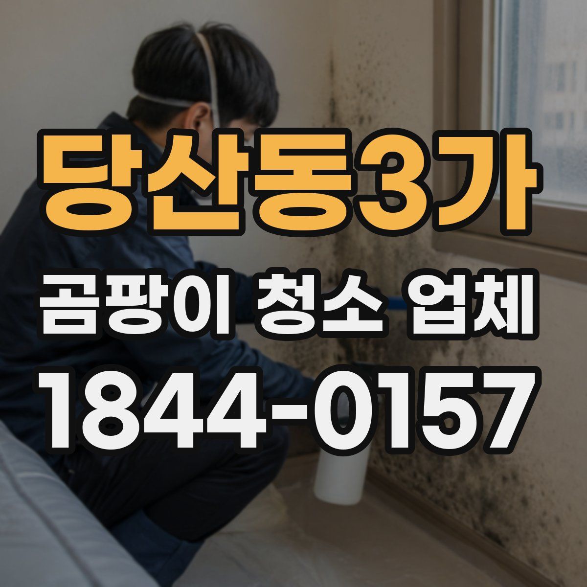 당산동3가 곰팡이 청소 업체