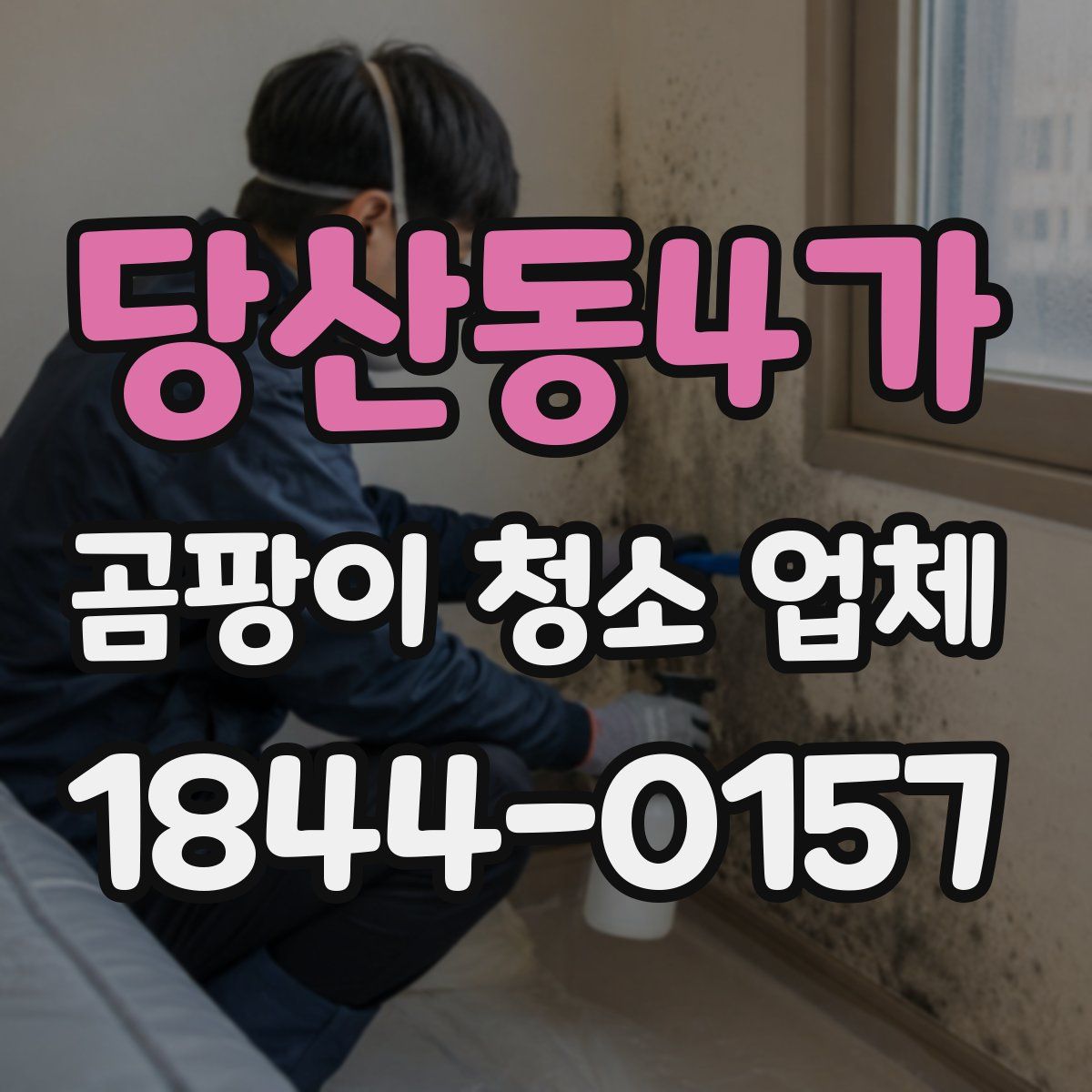 당산동4가 곰팡이 청소 업체