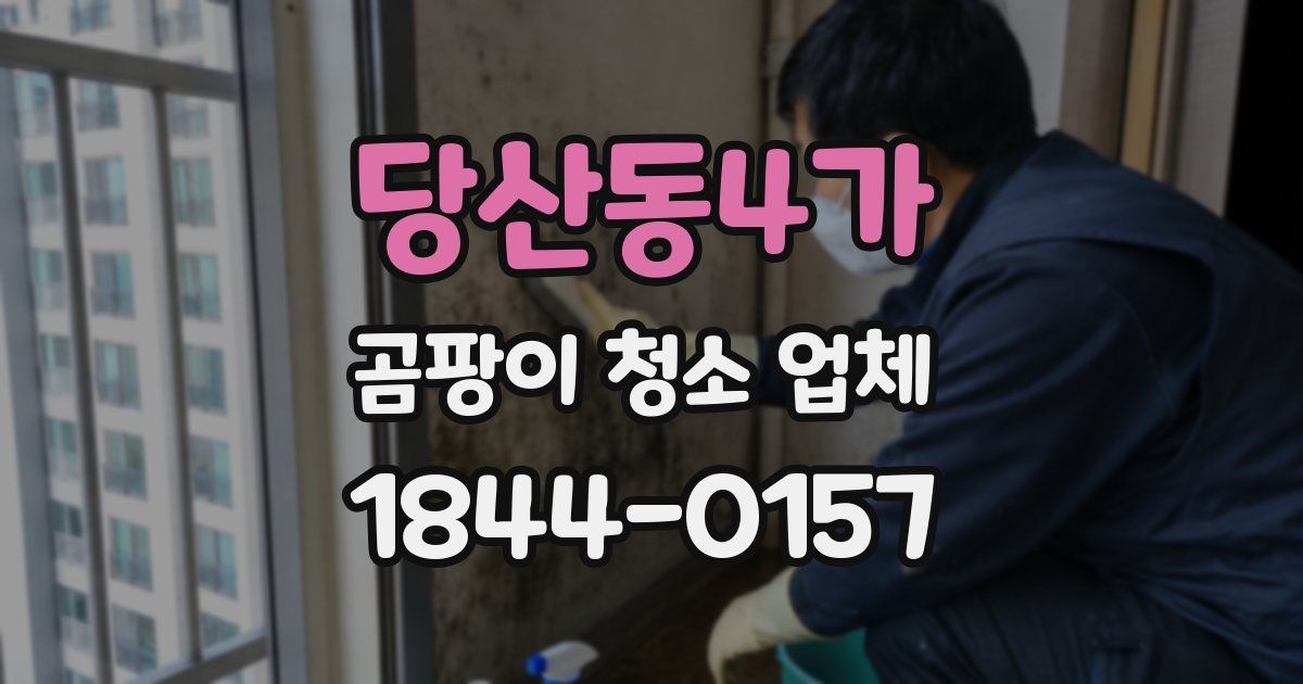 당산동4가 곰팡이 청소 업체