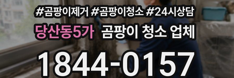 당산동5가 곰팡이 청소 업체