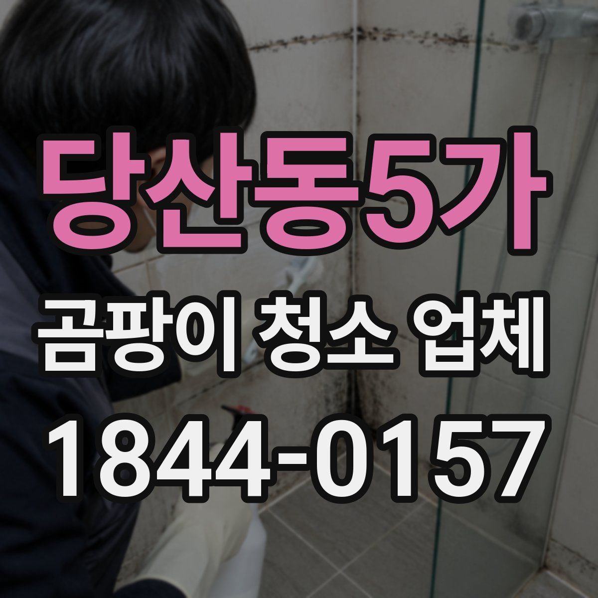 당산동5가 곰팡이 청소 업체