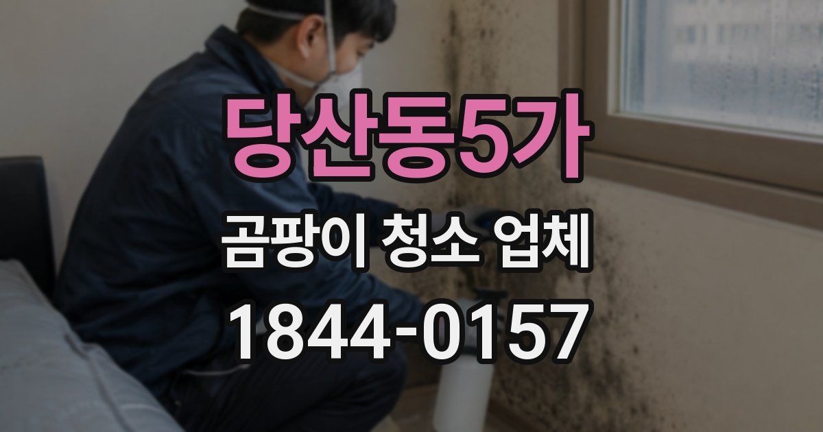 당산동5가 곰팡이 청소 업체