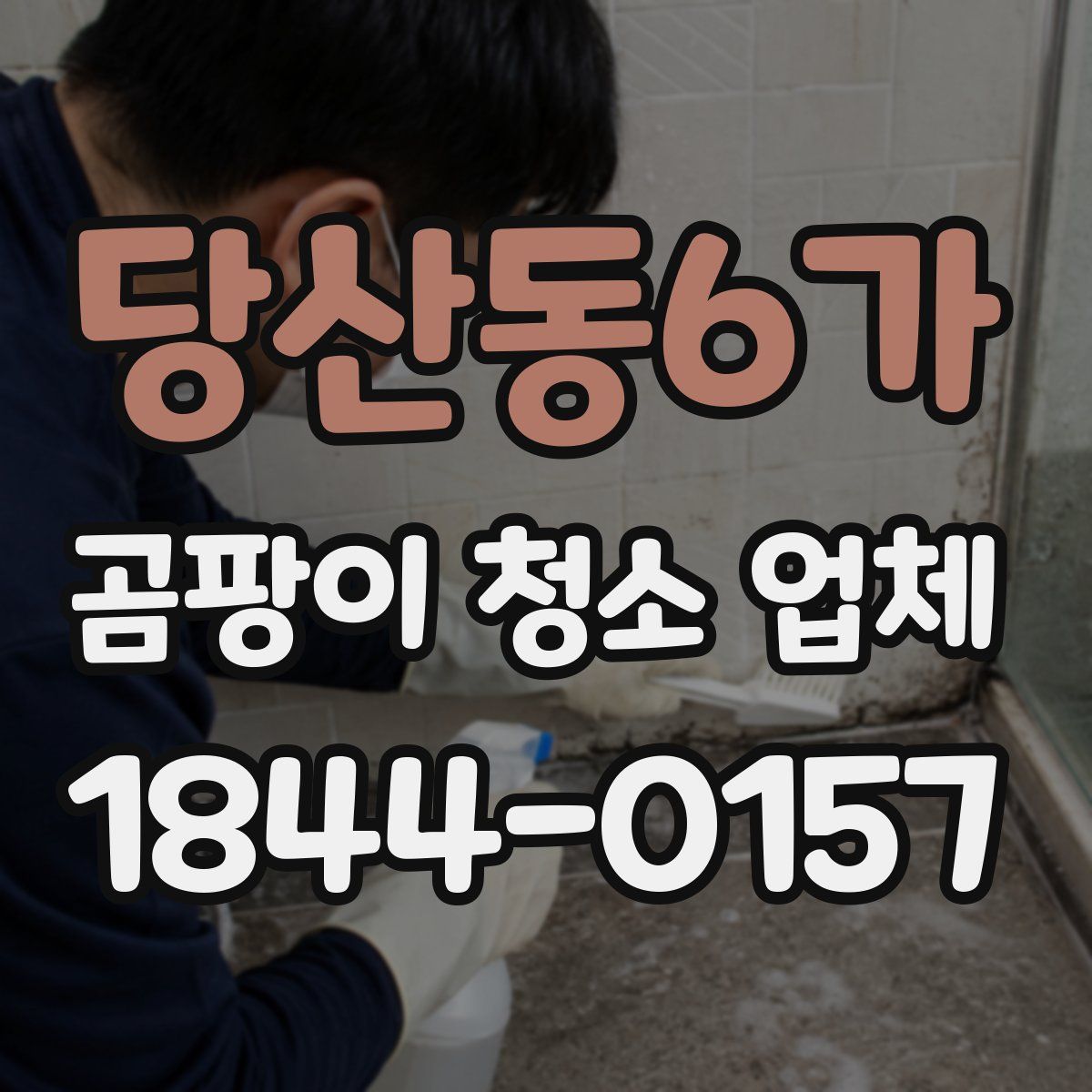 당산동6가 곰팡이 청소 업체