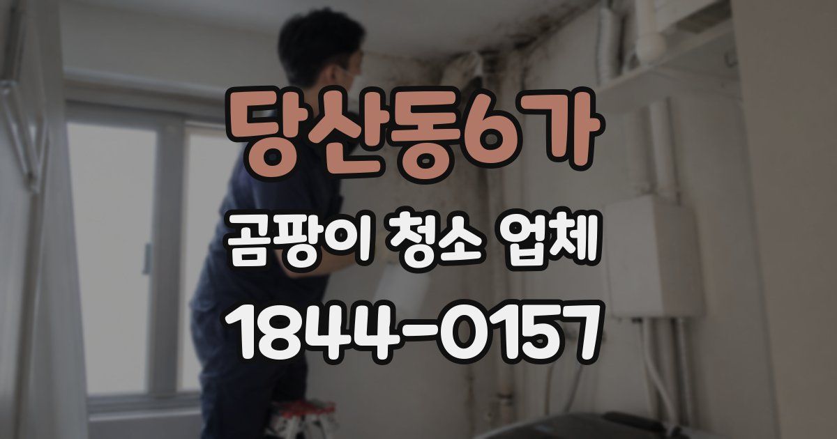 당산동6가 곰팡이 청소 업체