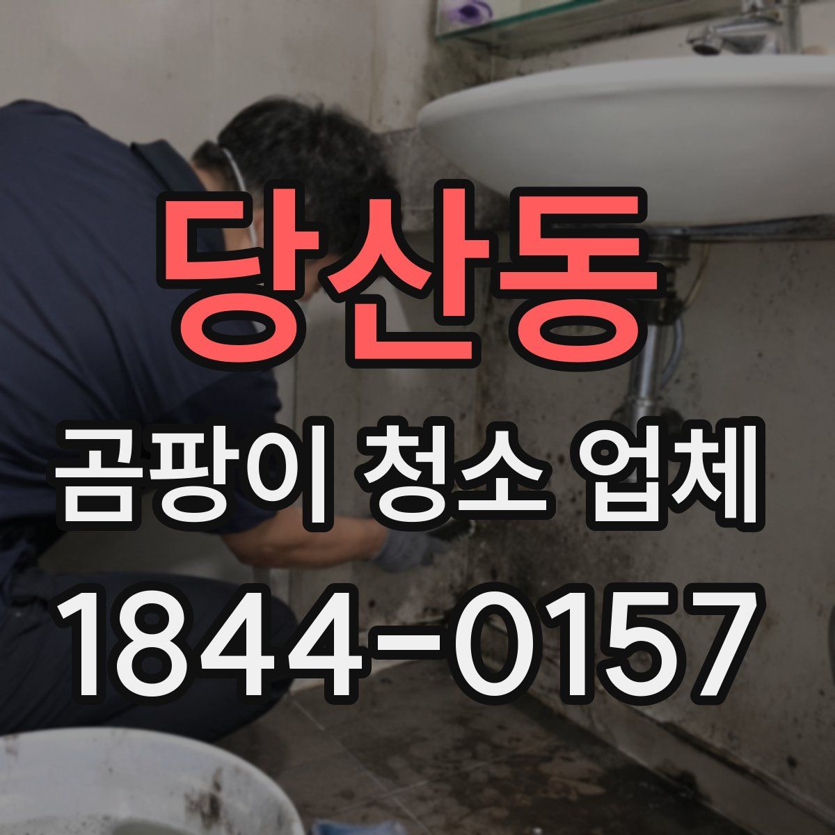 당산동 곰팡이 청소 업체