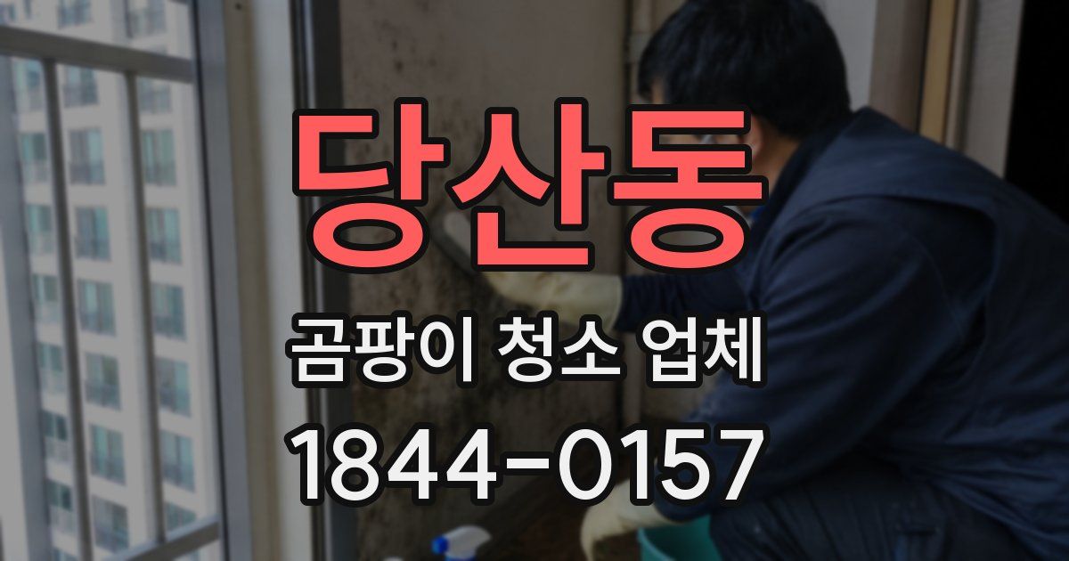 당산동 곰팡이 청소 업체