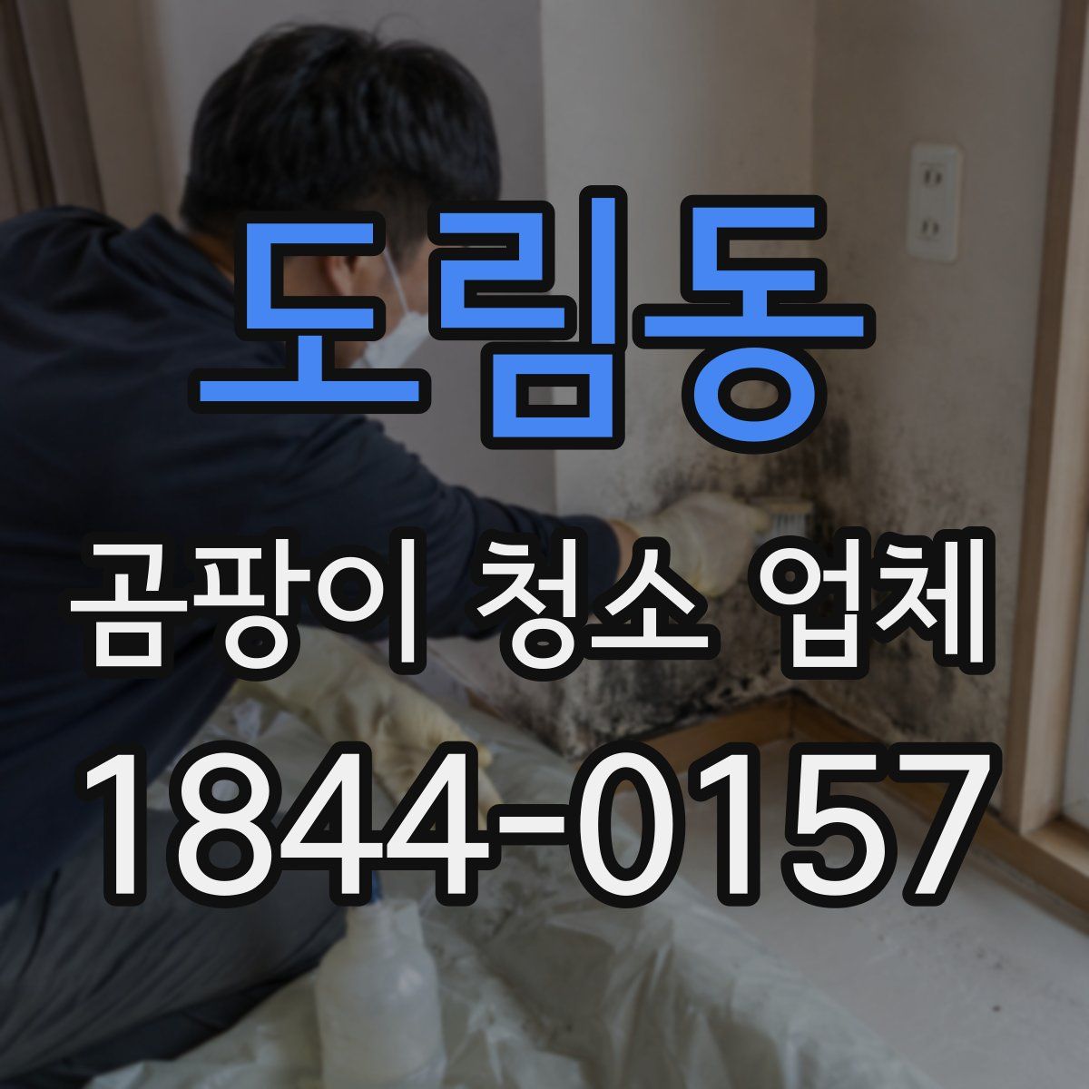 도림동 곰팡이 청소 업체