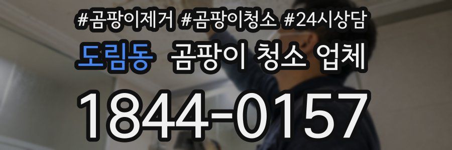 도림동 곰팡이 청소 업체