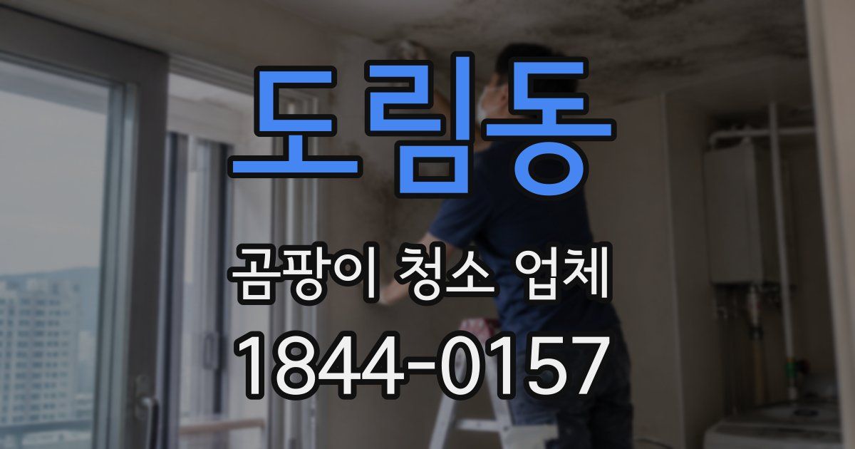 도림동 곰팡이 청소 업체