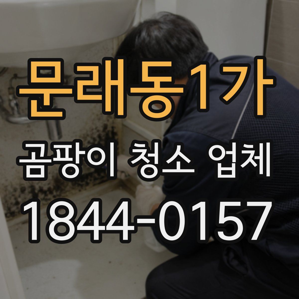 문래동1가 곰팡이 청소 업체