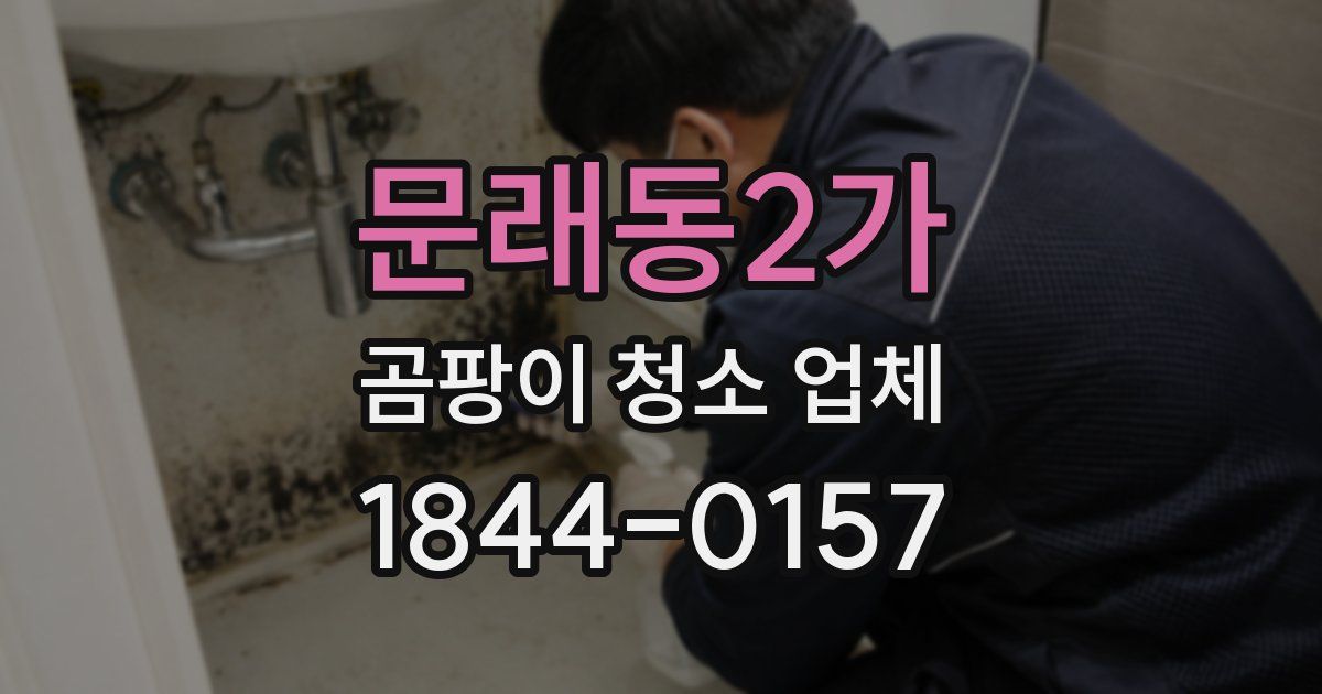 문래동2가 곰팡이 청소 업체