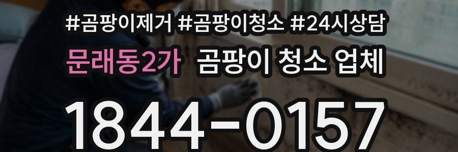 문래동2가 곰팡이 청소 업체
