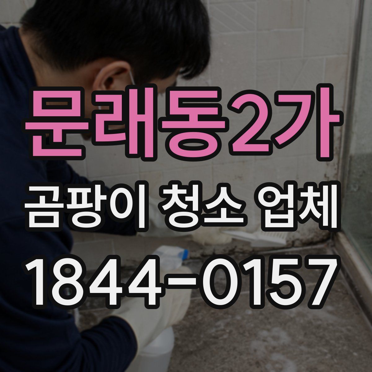 문래동2가 곰팡이 청소 업체