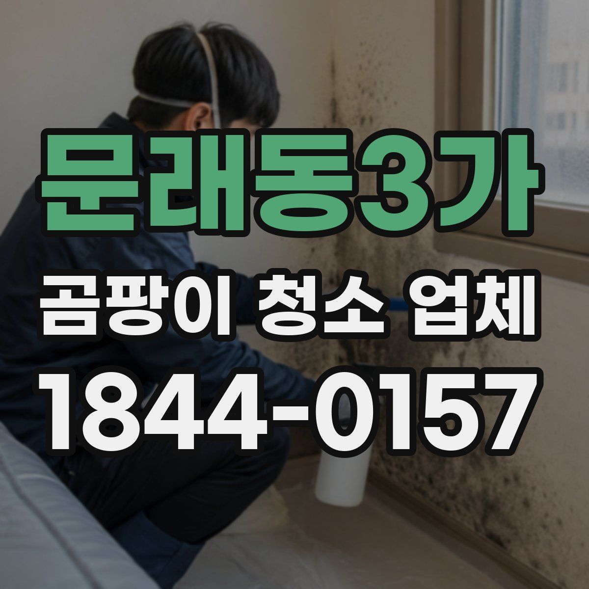 문래동3가 곰팡이 청소 업체