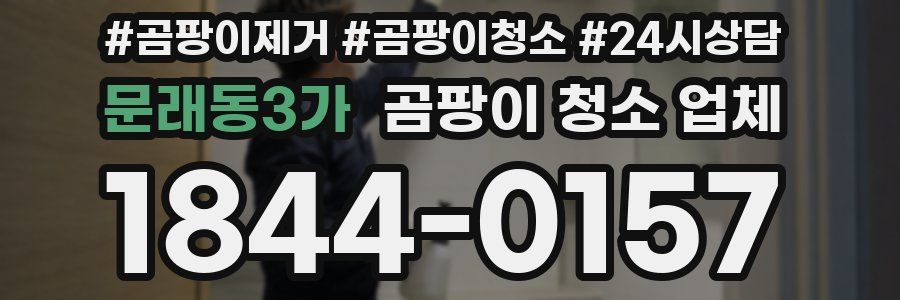 문래동3가 곰팡이 청소 업체