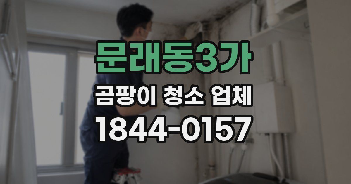 문래동3가 곰팡이 청소 업체