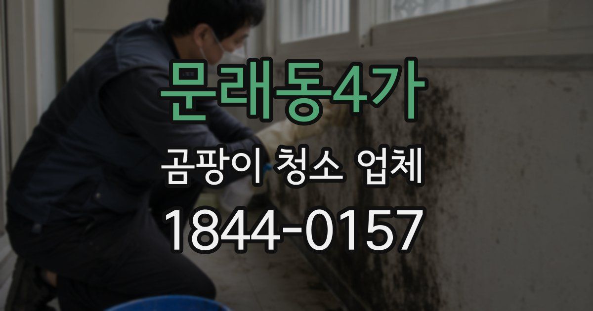 문래동4가 곰팡이 청소 업체