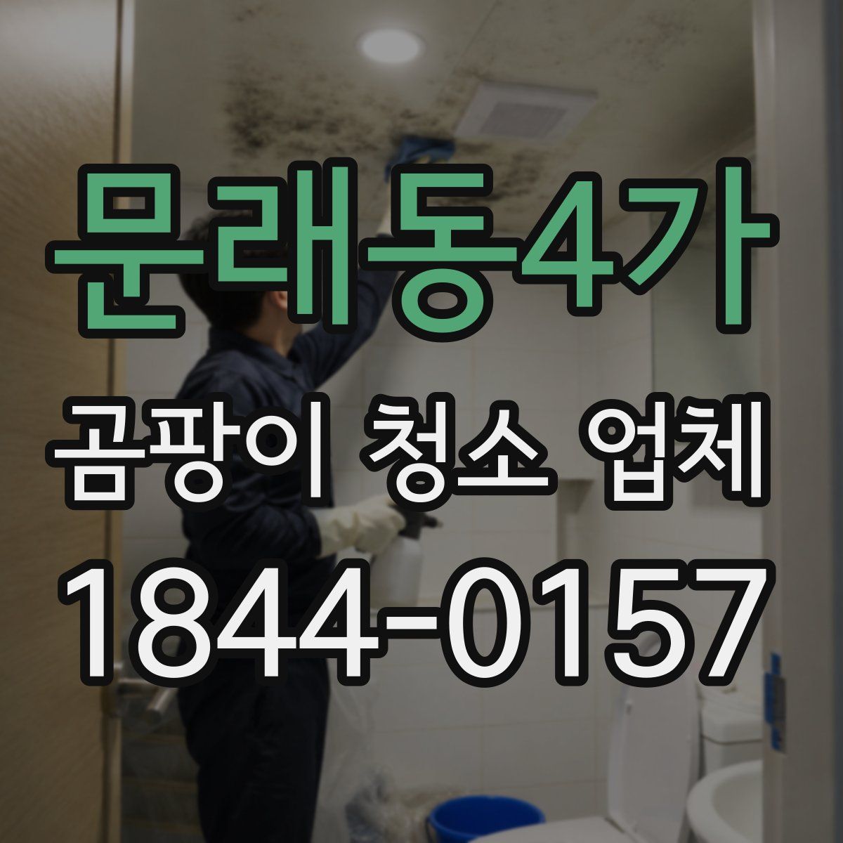 문래동4가 곰팡이 청소 업체