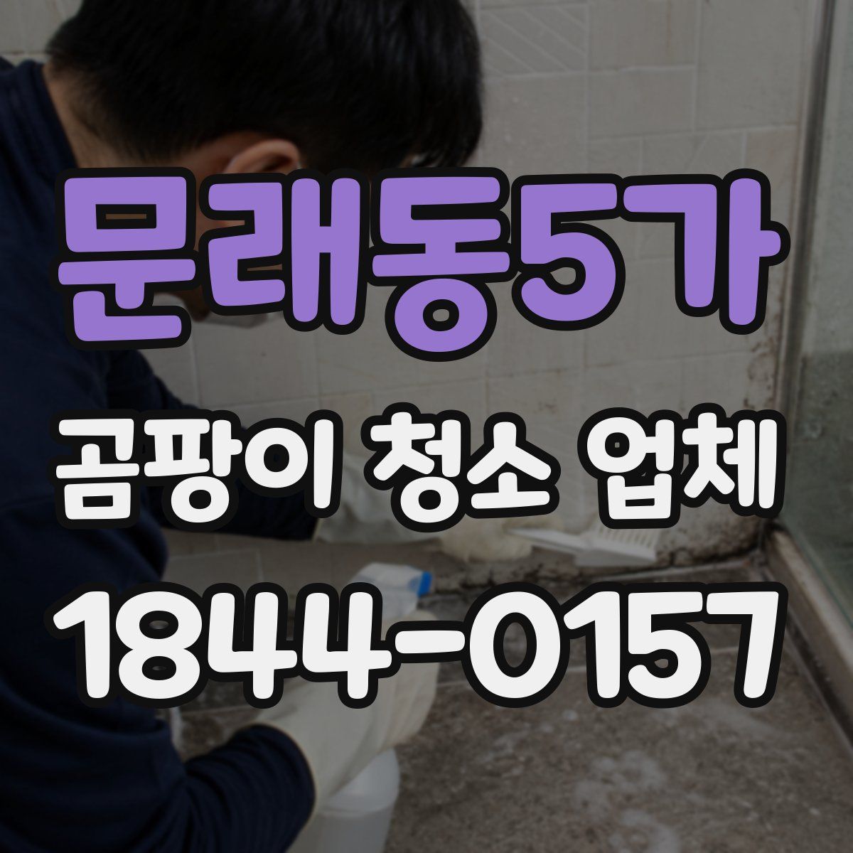 문래동5가 곰팡이 청소 업체
