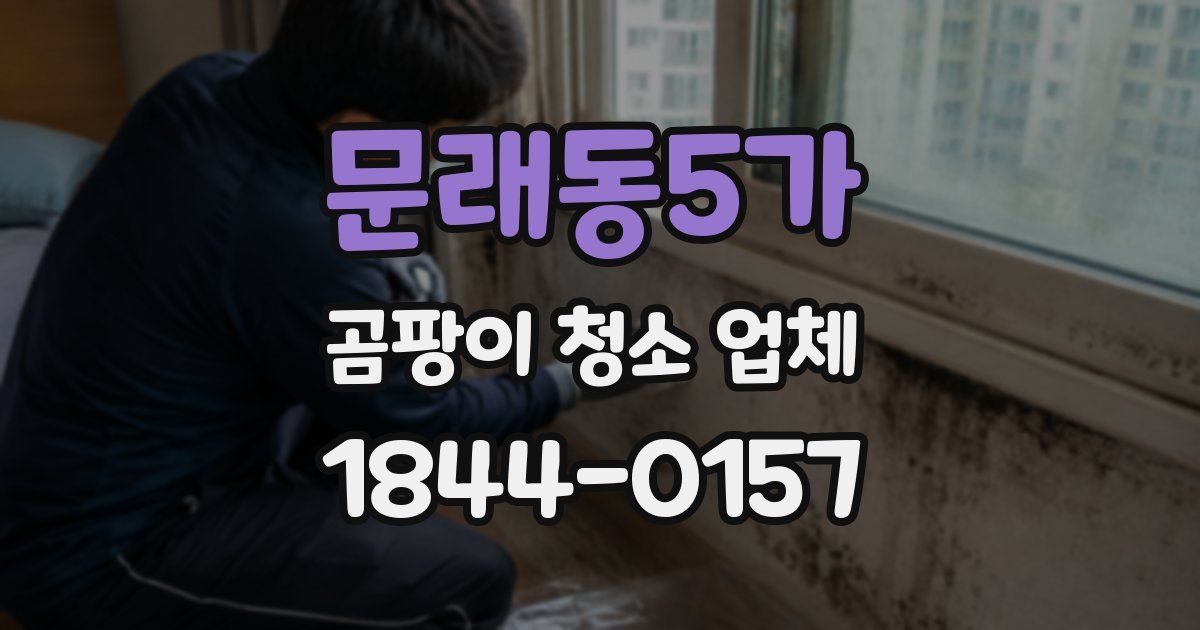 문래동5가 곰팡이 청소 업체