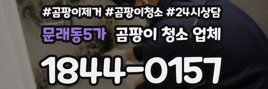 문래동5가 곰팡이 청소 업체