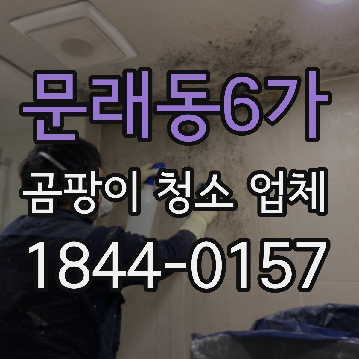 문래동6가 곰팡이 청소 업체 청소 뒤 유지관리 주기와 확인 사항