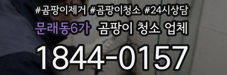 문래동6가 곰팡이 청소 업체