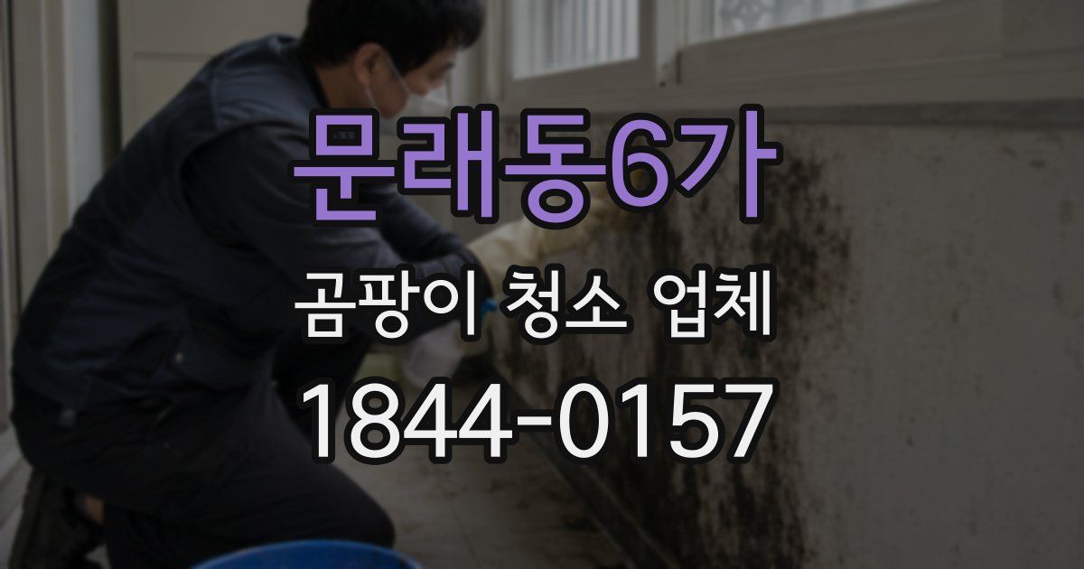 문래동6가 곰팡이 청소 업체