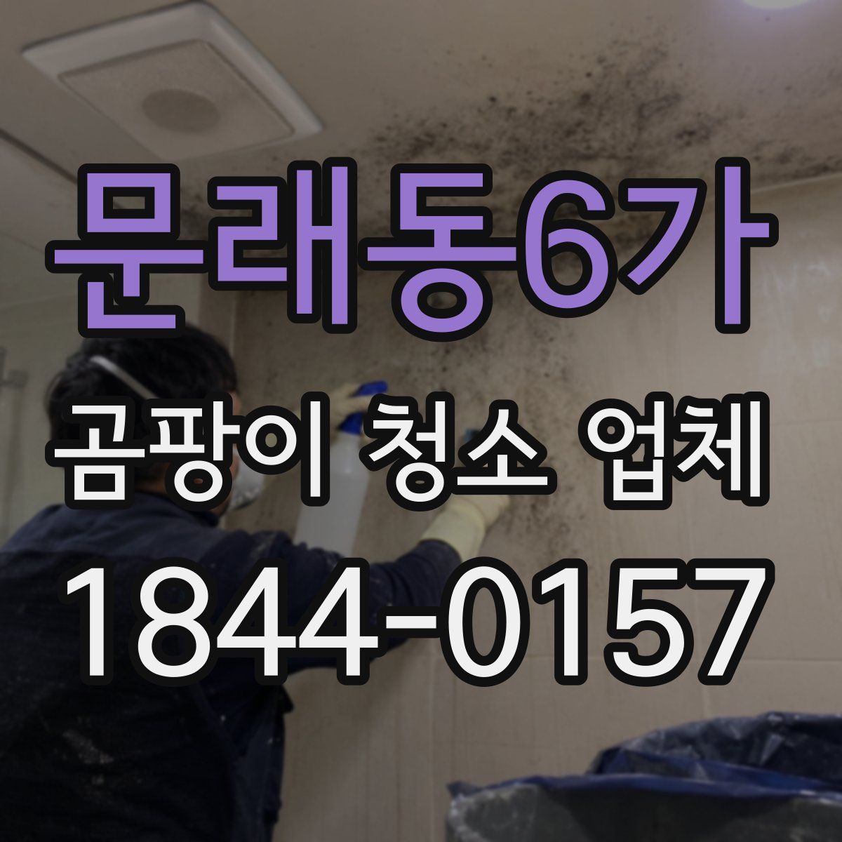문래동6가 곰팡이 청소 업체