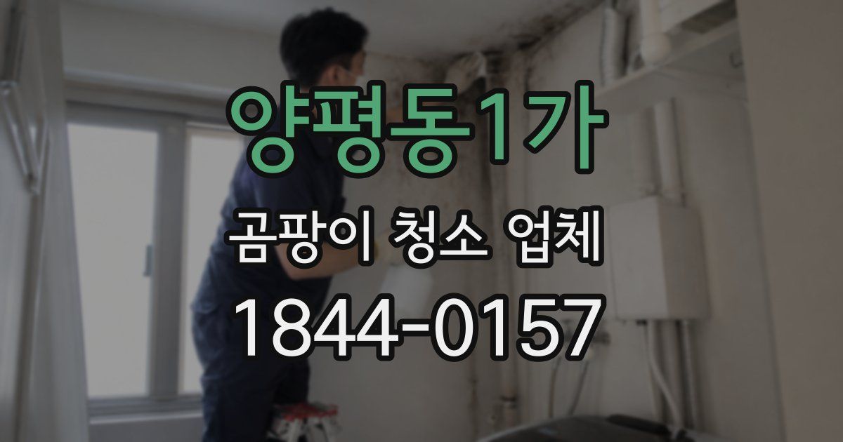 양평동1가 곰팡이 청소 업체