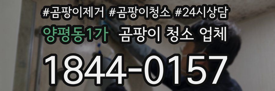 양평동1가 곰팡이 청소 업체