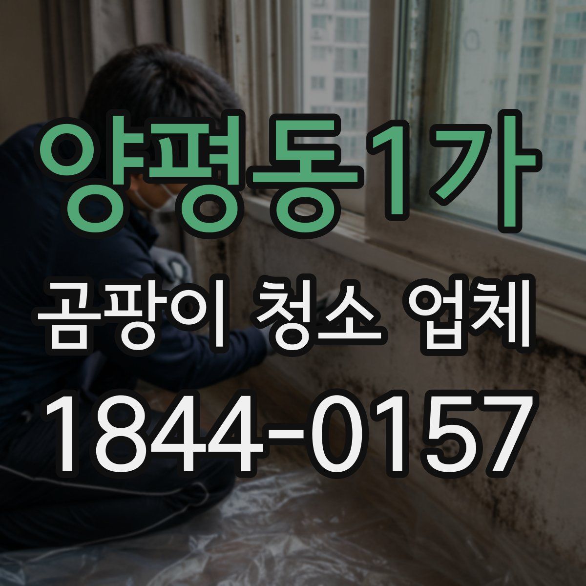 양평동1가 곰팡이 청소 업체