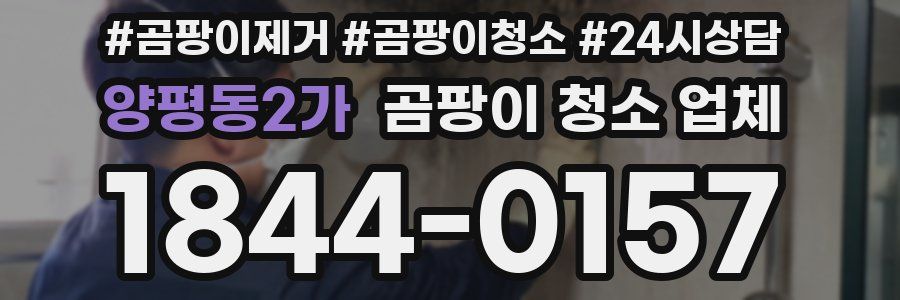 양평동2가 곰팡이 청소 업체