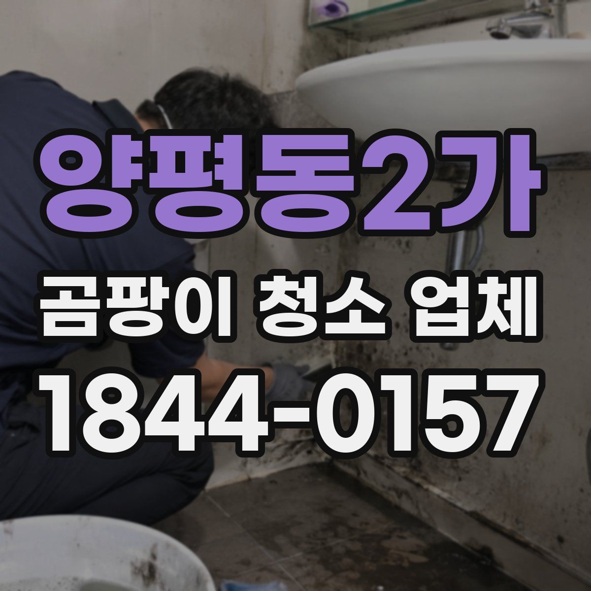 양평동2가 곰팡이 청소 업체