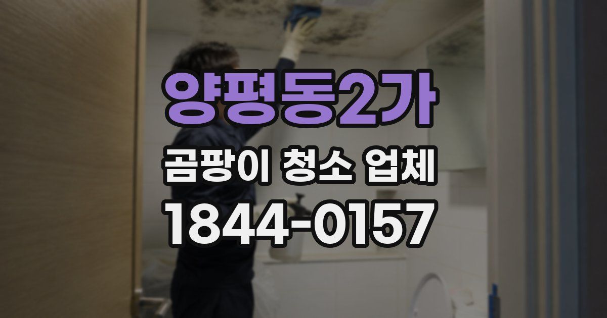 양평동2가 곰팡이 청소 업체