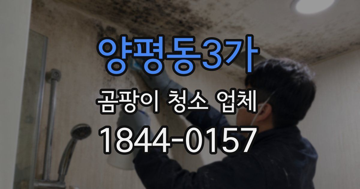 양평동3가 곰팡이 청소 업체