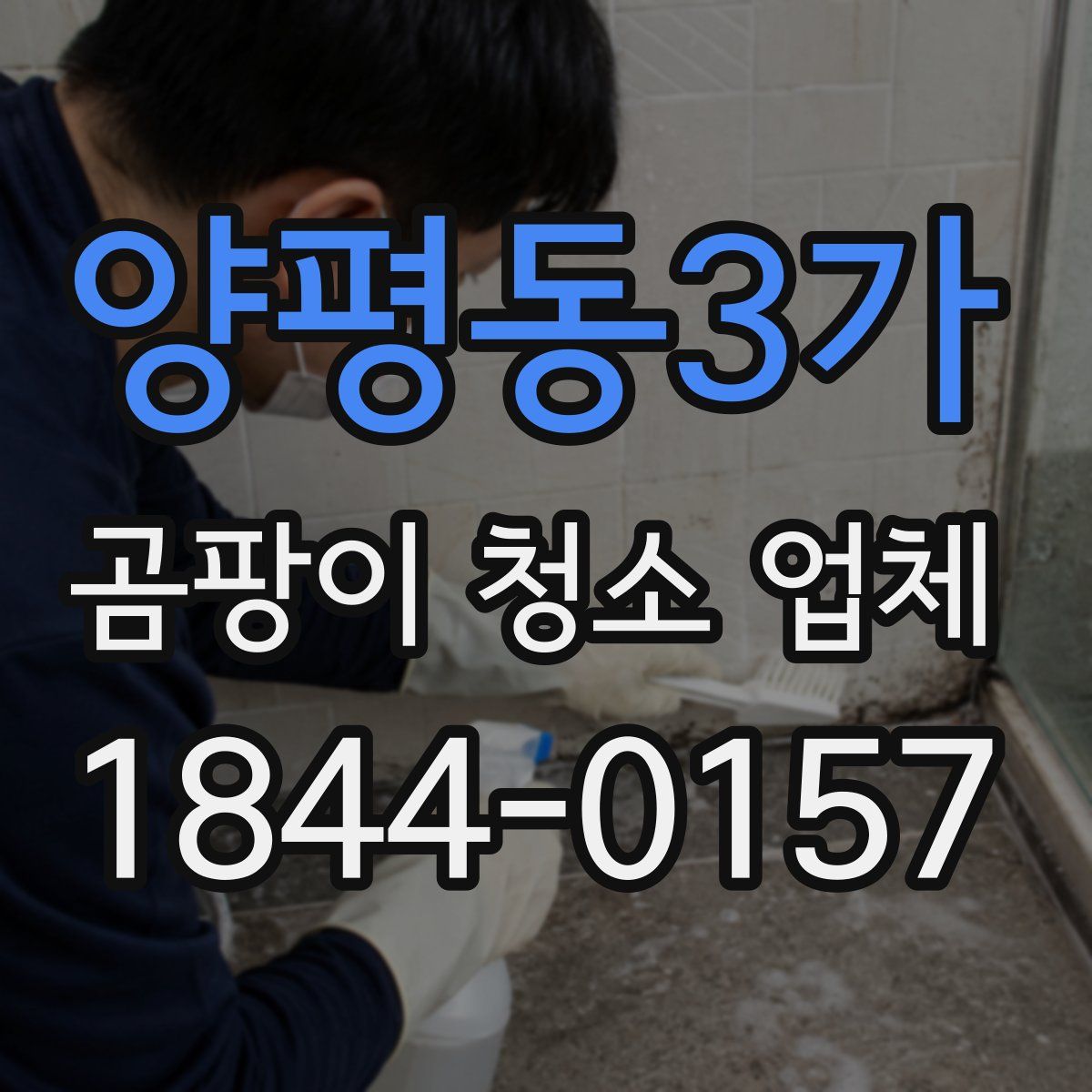 양평동3가 곰팡이 청소 업체