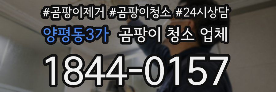 양평동3가 곰팡이 청소 업체