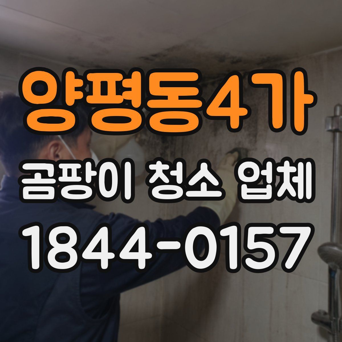양평동4가 곰팡이 청소 업체