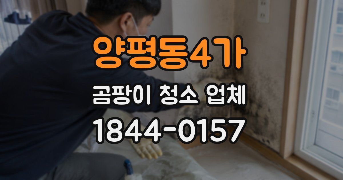 양평동4가 곰팡이 청소 업체