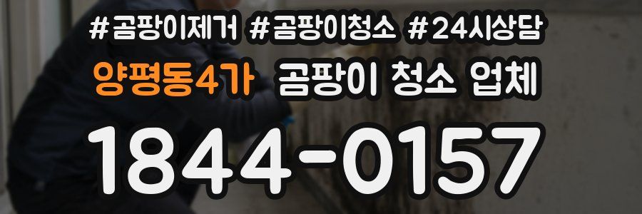 양평동4가 곰팡이 청소 업체