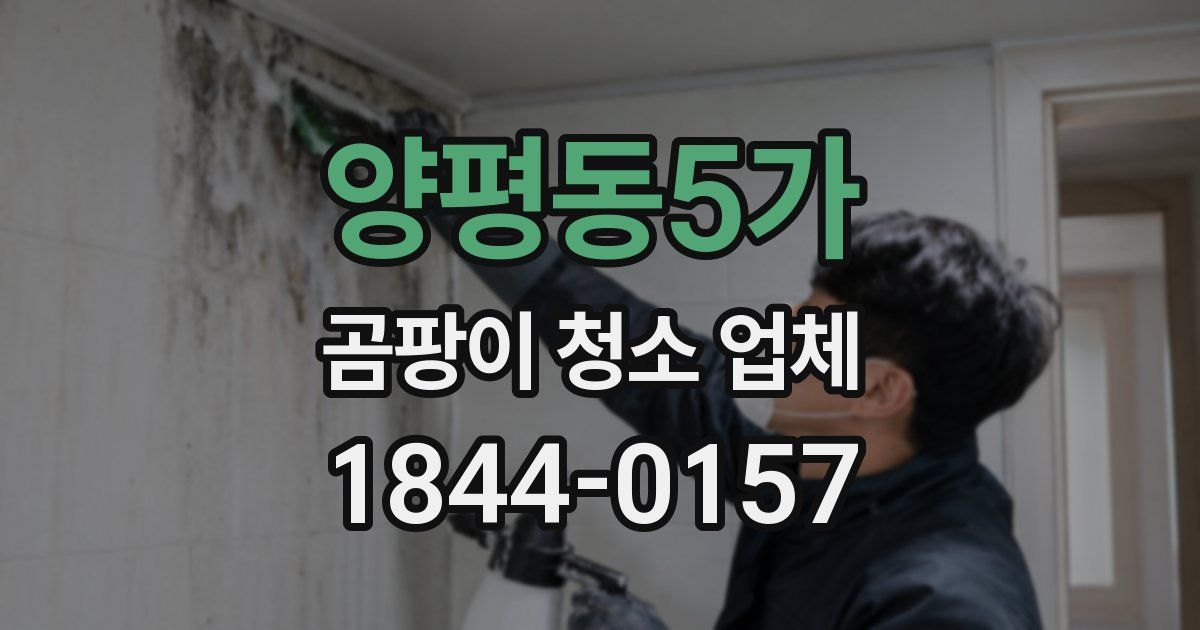양평동5가 곰팡이 청소 업체