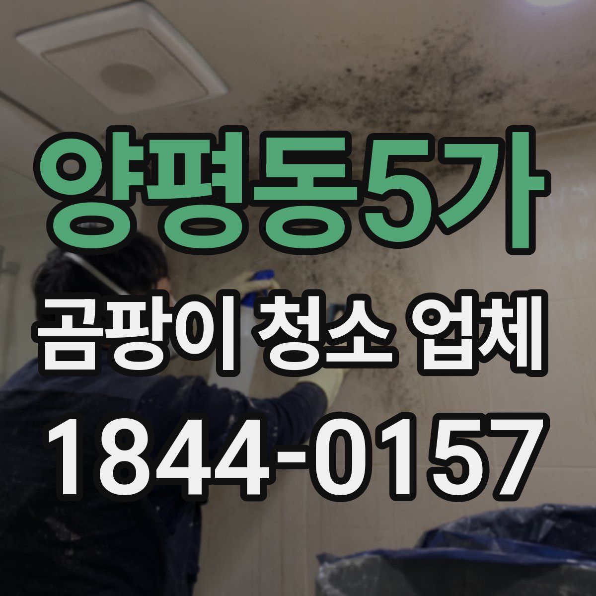 양평동5가 곰팡이 청소 업체