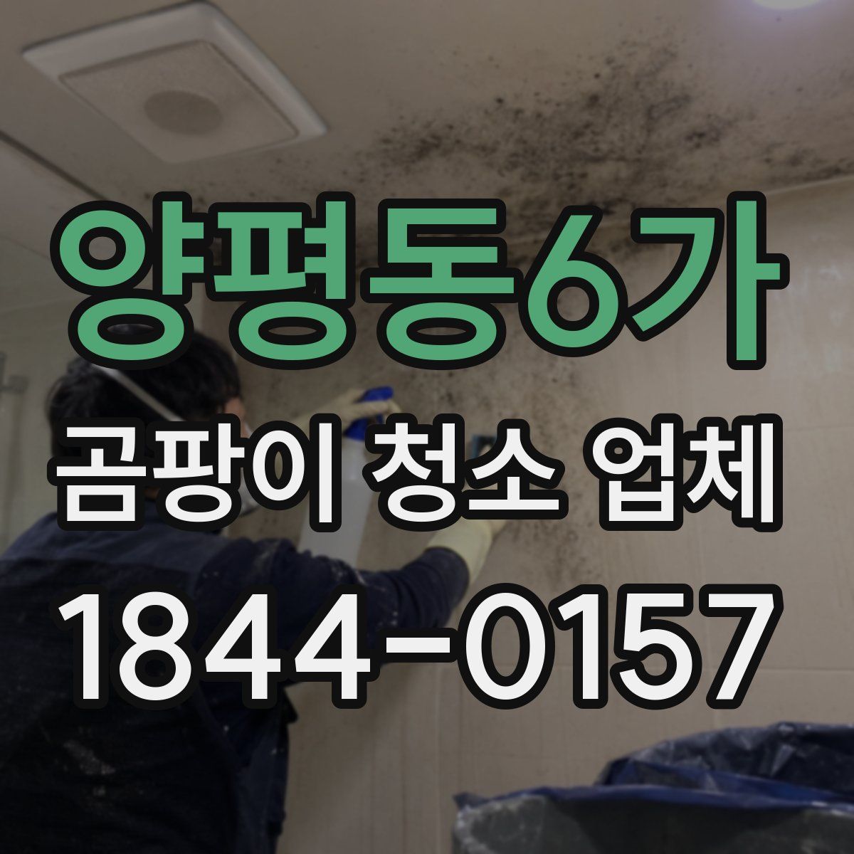양평동6가 곰팡이 청소 업체