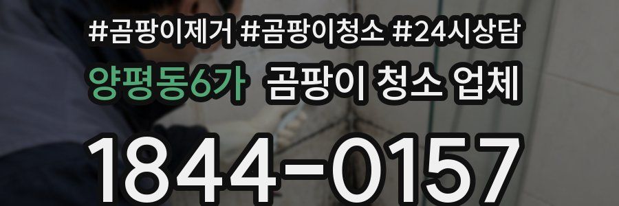 양평동6가 곰팡이 청소 업체