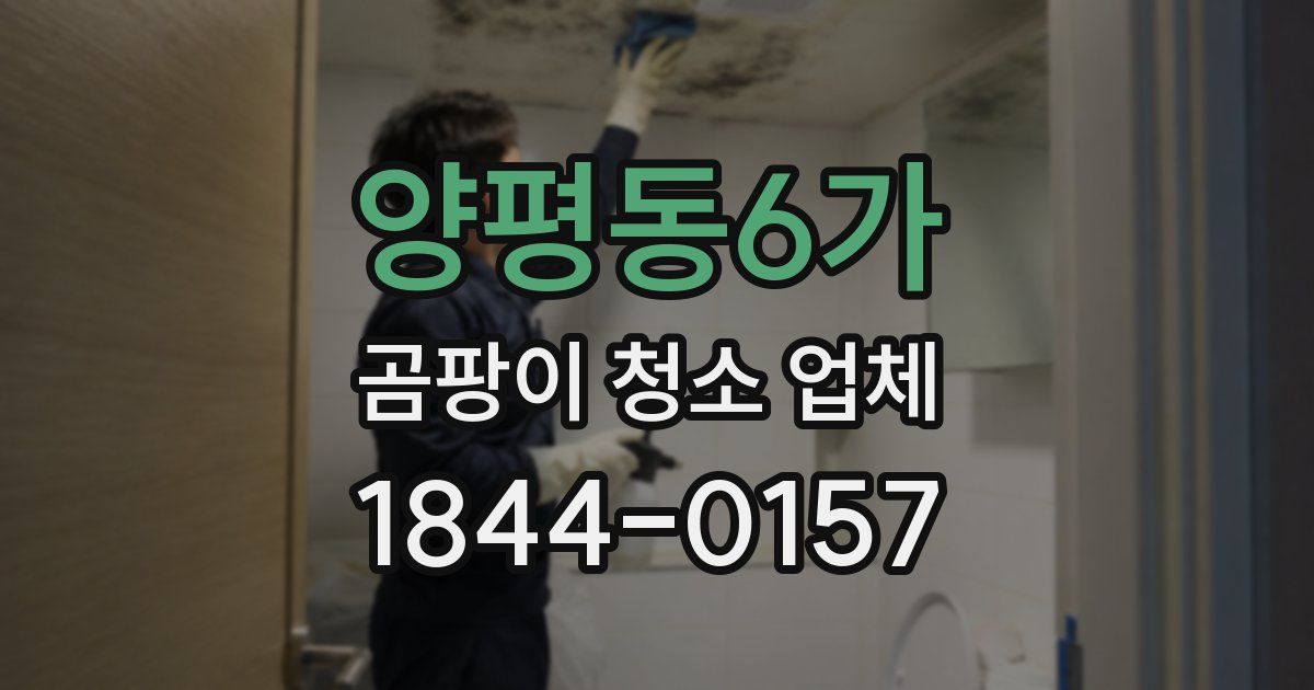 양평동6가 곰팡이 청소 업체