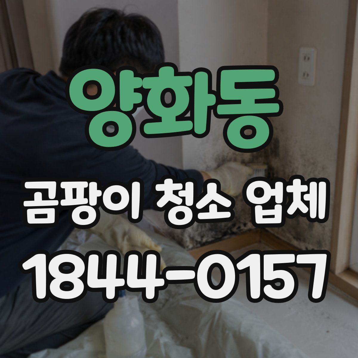 양화동 곰팡이 청소 업체